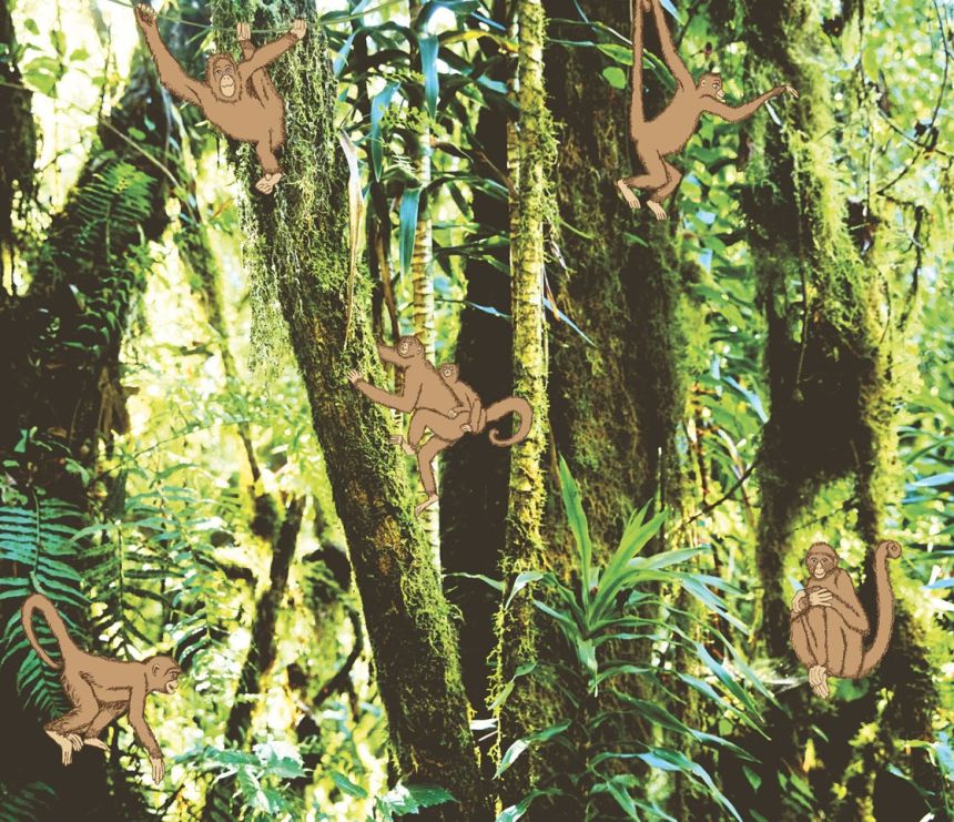 Wall mural -   Monkeys in the forest 364155, Wallpower Junior, Eijffinger