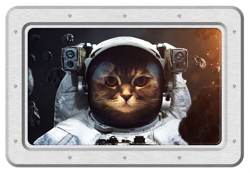 Self-adhesive wall decoration SM 3443, Cat, AG Design