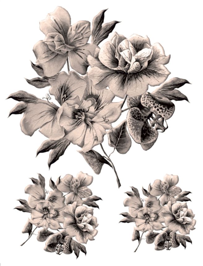 Self-adhesive wall decoration F 1063, Flowers, AG Design