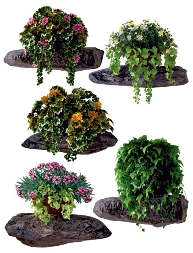 Self-adhesive wall decoration F 1070, Flowers, AG Design