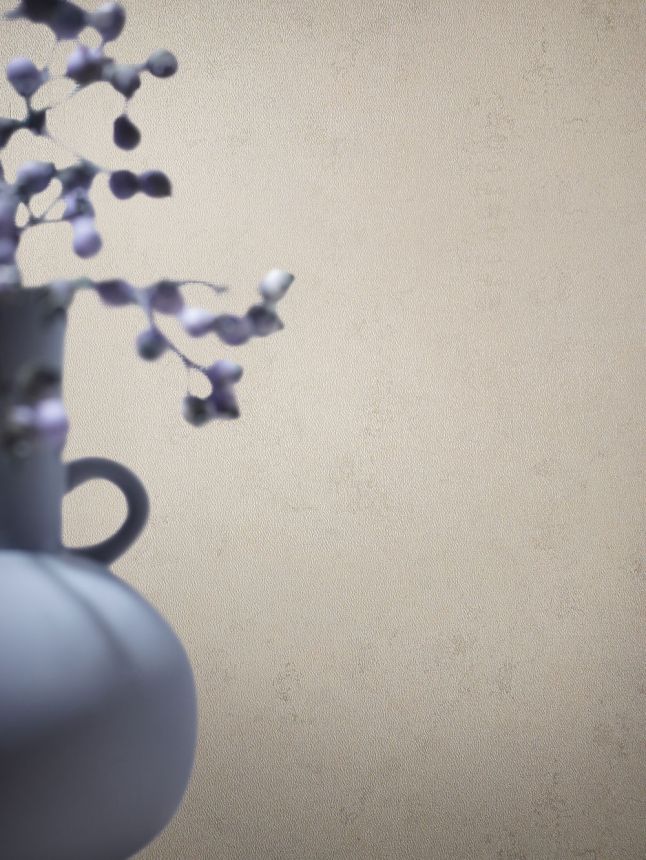 Light gray wallpaper, stucco 33734, Papis Loveday, Marburg