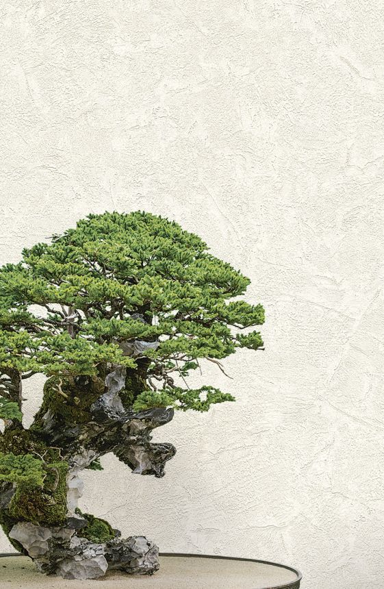 Luxury cream stucco wallpaper 72965, Zen, Emiliana Parati 