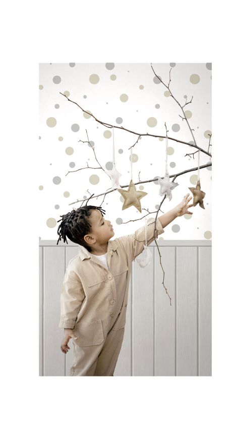 Beige wallpaper, imitation of wooden planks, 14877, Happy, Parato