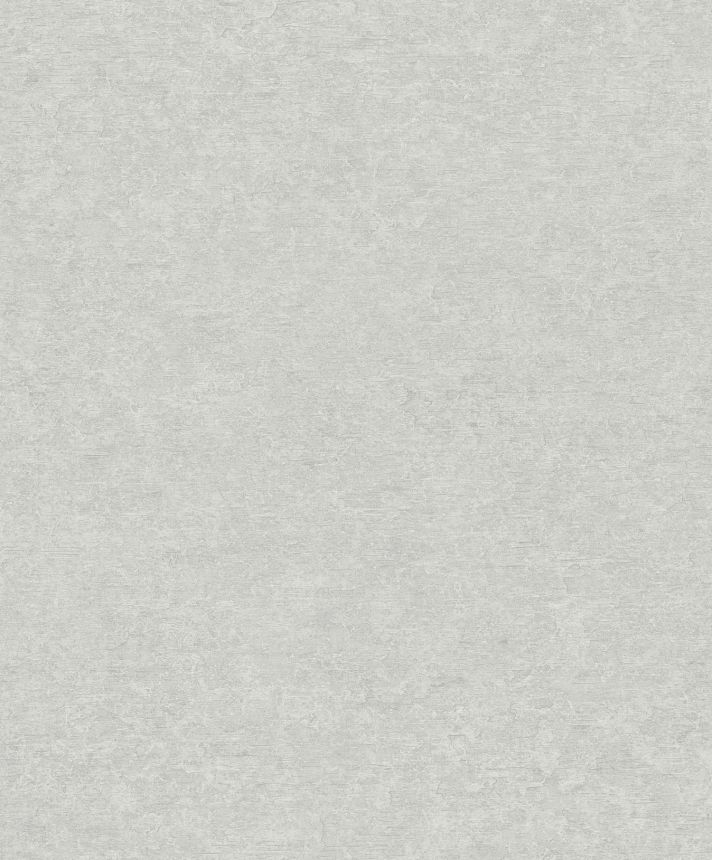 Gray wallpaper, plaster imitation, A65602, Vavex 2025
