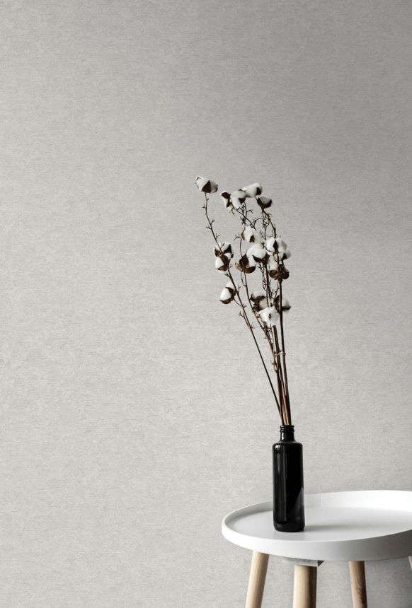 Gray wallpaper, plaster imitation, A65602, Vavex 2025