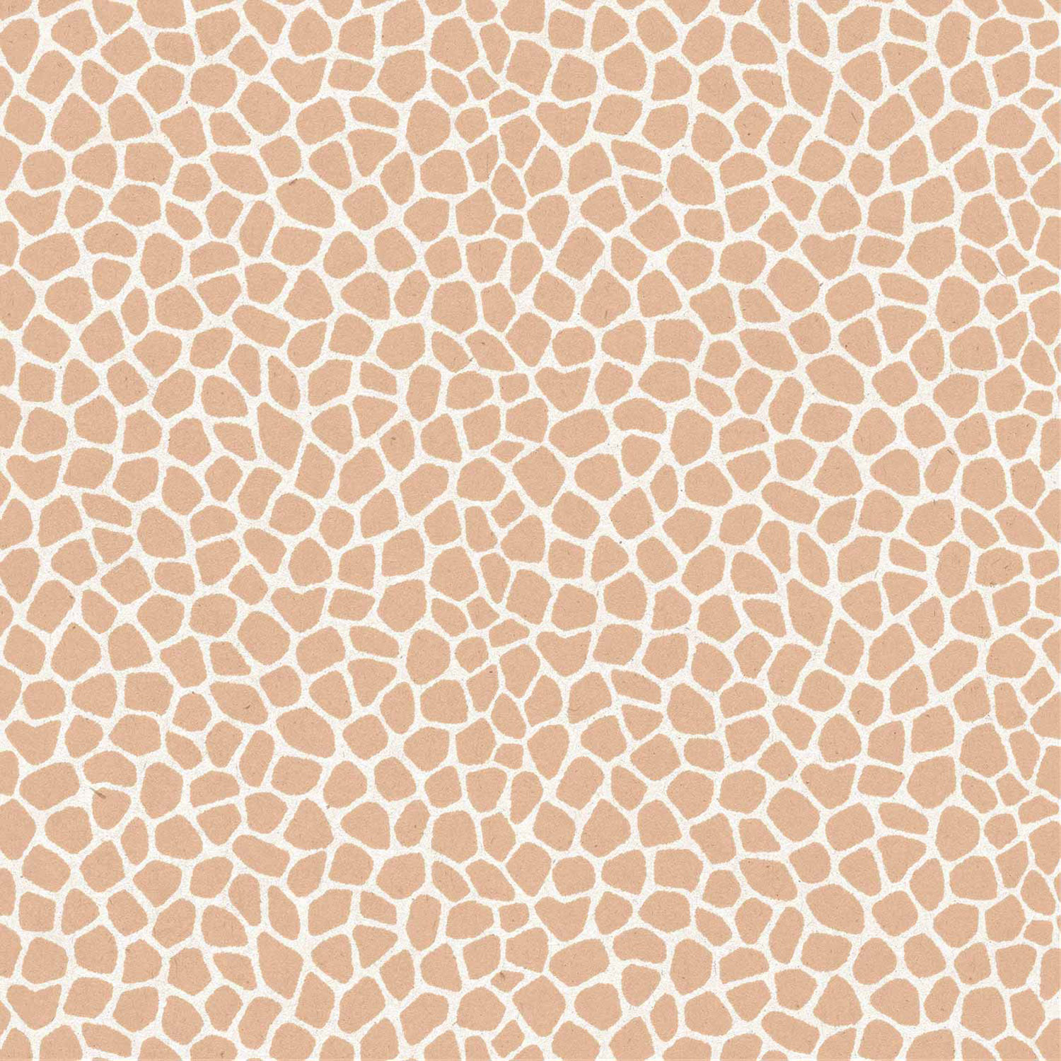 Brown-white non-woven wallpaper, 17182, MiniMe, Cristiana Masi by Parato