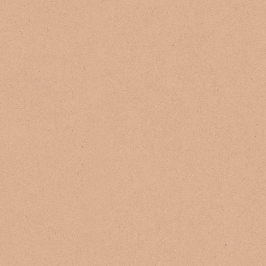 Brown non-woven monochrome wallpaper, 17198, MiniMe, Cristiana Masi by Parato