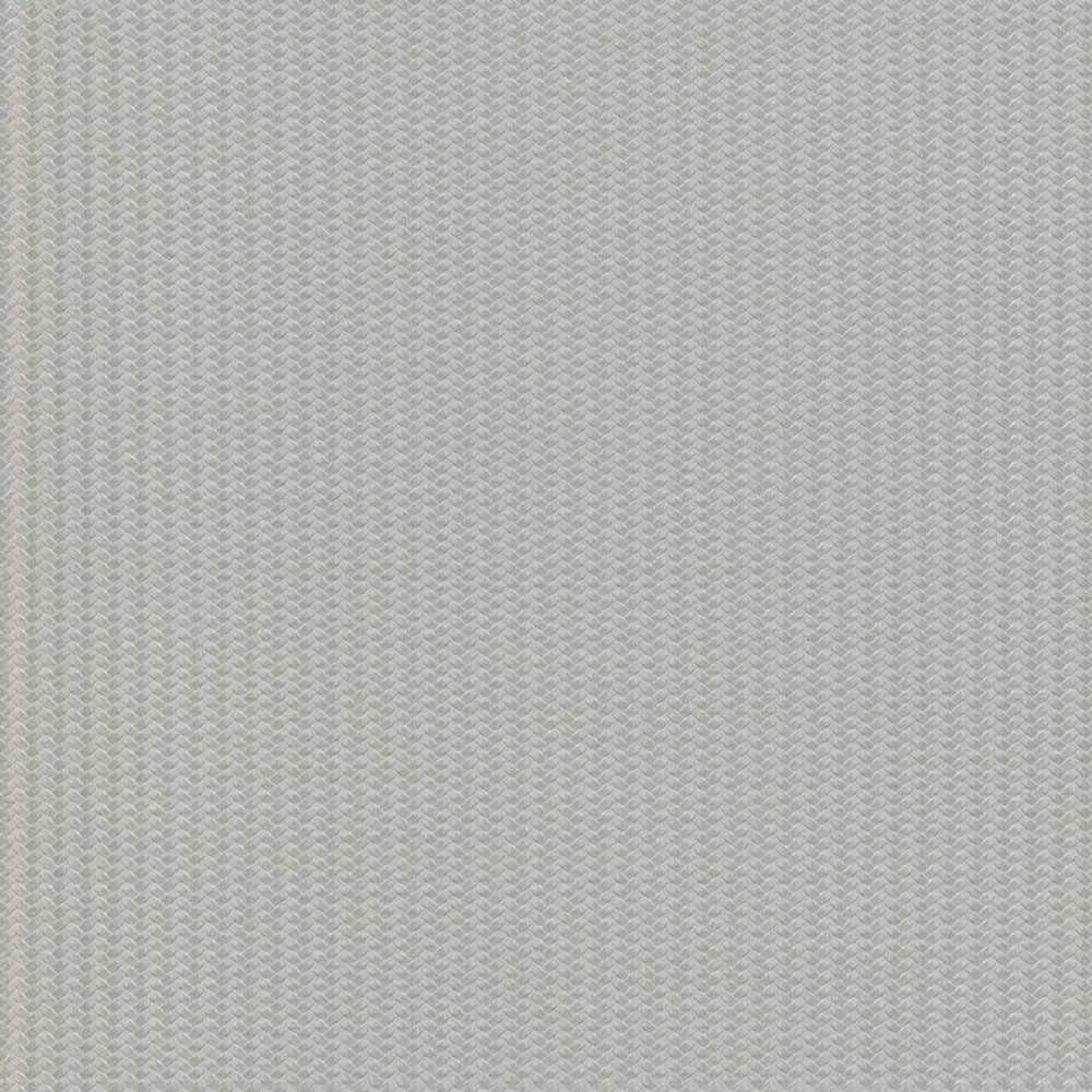 Luxury gray-silver non-woven wallpaper, Z12843, Automobili Lamborghini 3