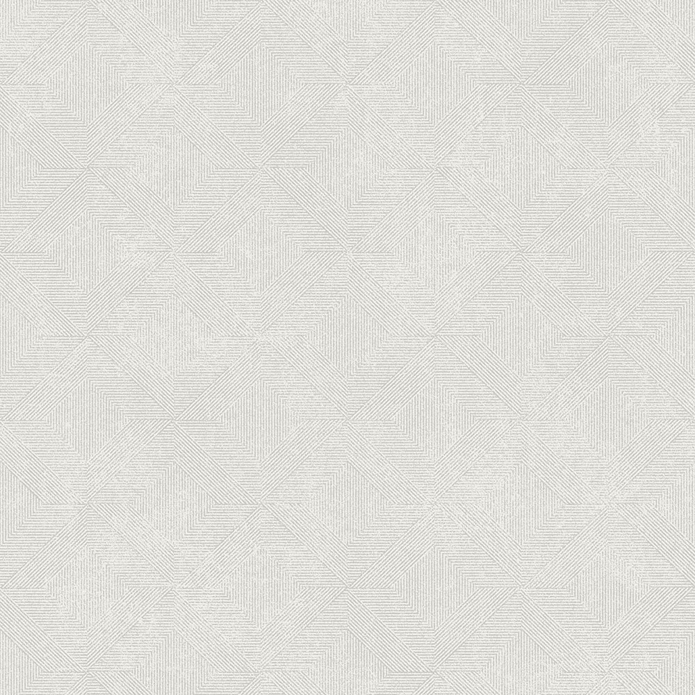 Gray geometric non-woven wallpaper, A68202, Vavex 2026