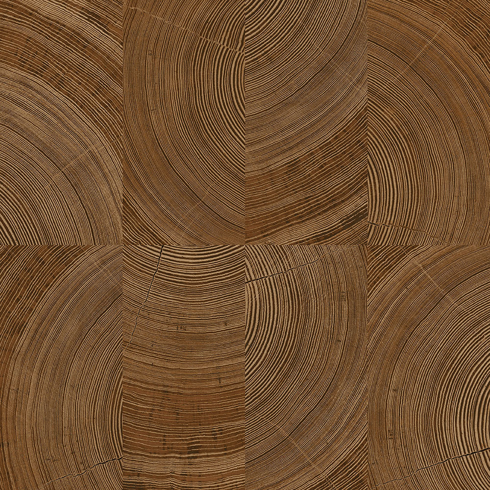 Brown wallpaper, wood paneling imitation, A69101, Vavex 2026