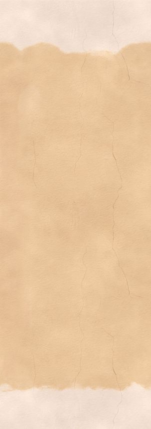 Non-woven wall mural, beige, DGALC1043-300, Terra, Masureel