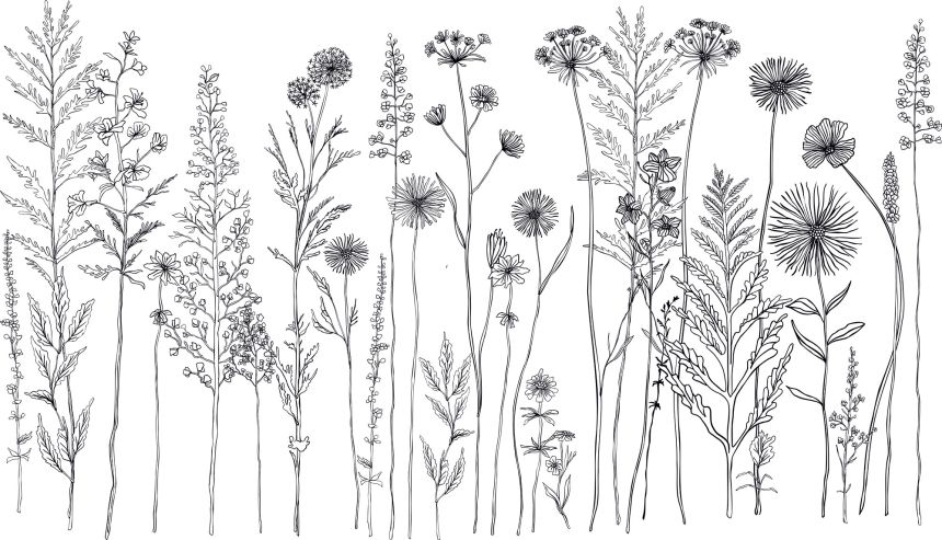 Customized non-woven wall mural, Meadow flowers, 10164, Vavex