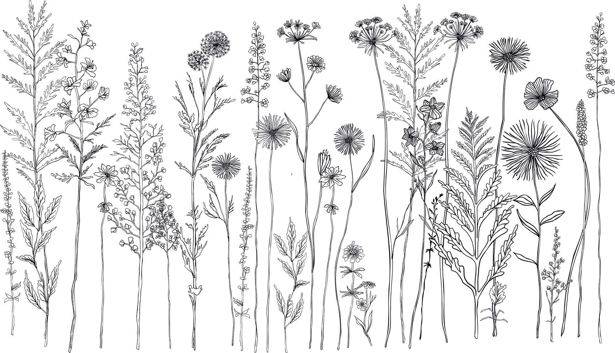 Customized non-woven wall mural, Meadow flowers, 10164, Vavex