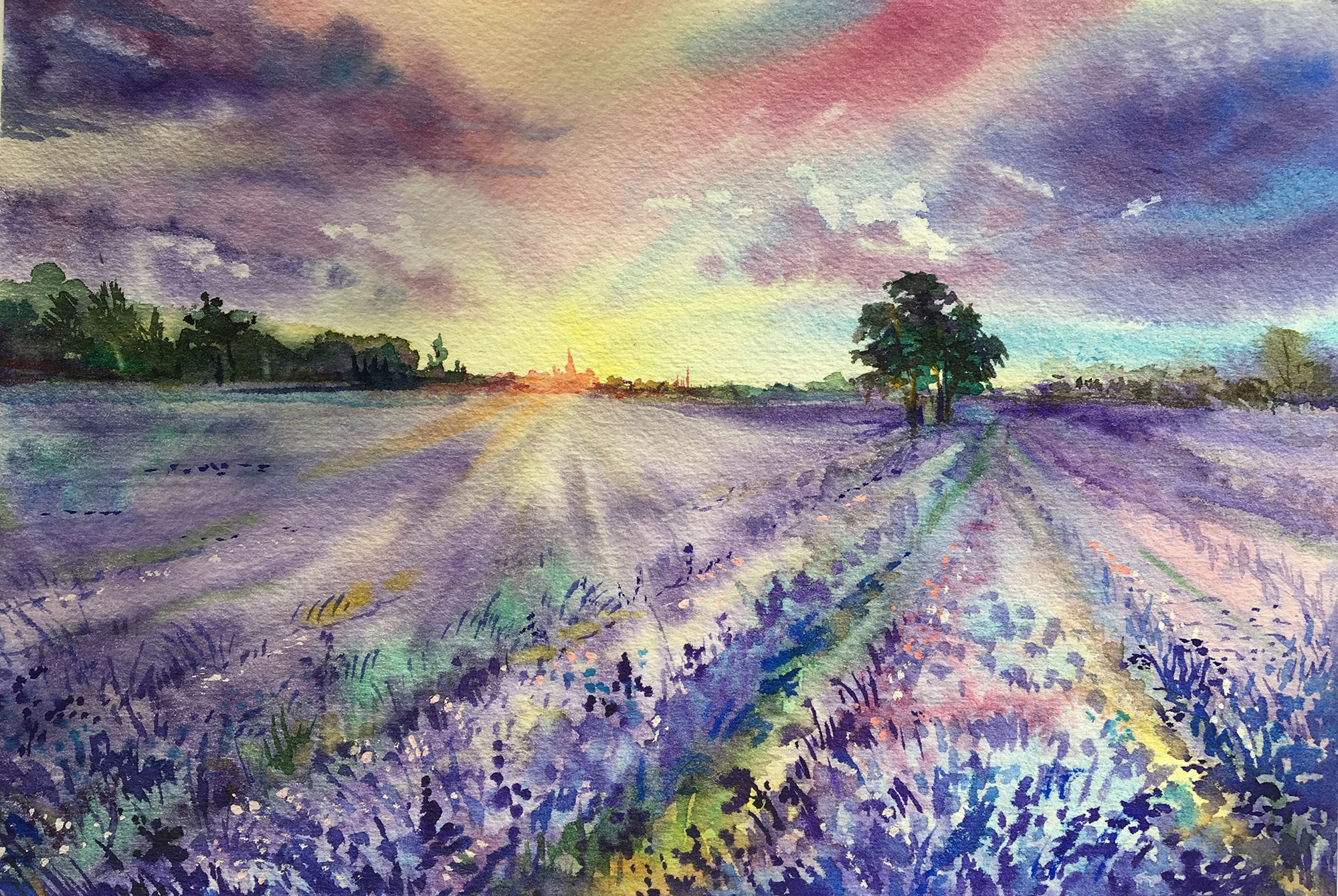 Customized non-woven wall mural, Watercolor lavender field, 10167, Vavex