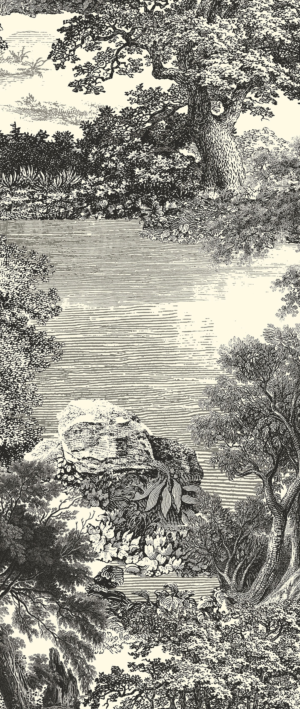 Mural wallpaper, black, forest, trees, DGSAL1011-260, Amazone, Masureel