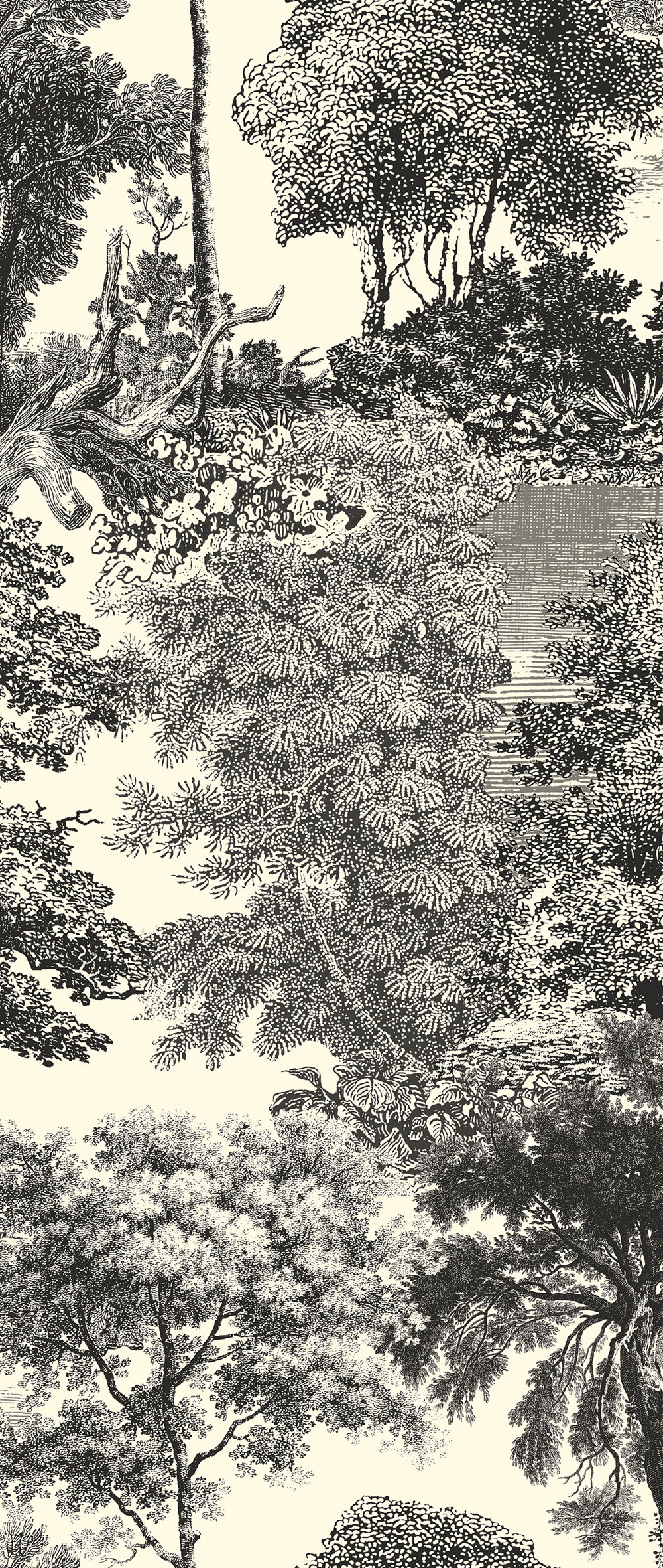 Mural wallpaper, black, forest, trees, DGSAL1014-260, Amazone, Masureel