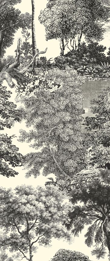 Mural wallpaper, black, forest, trees, DGSAL1014-300, Amazone, Masureel