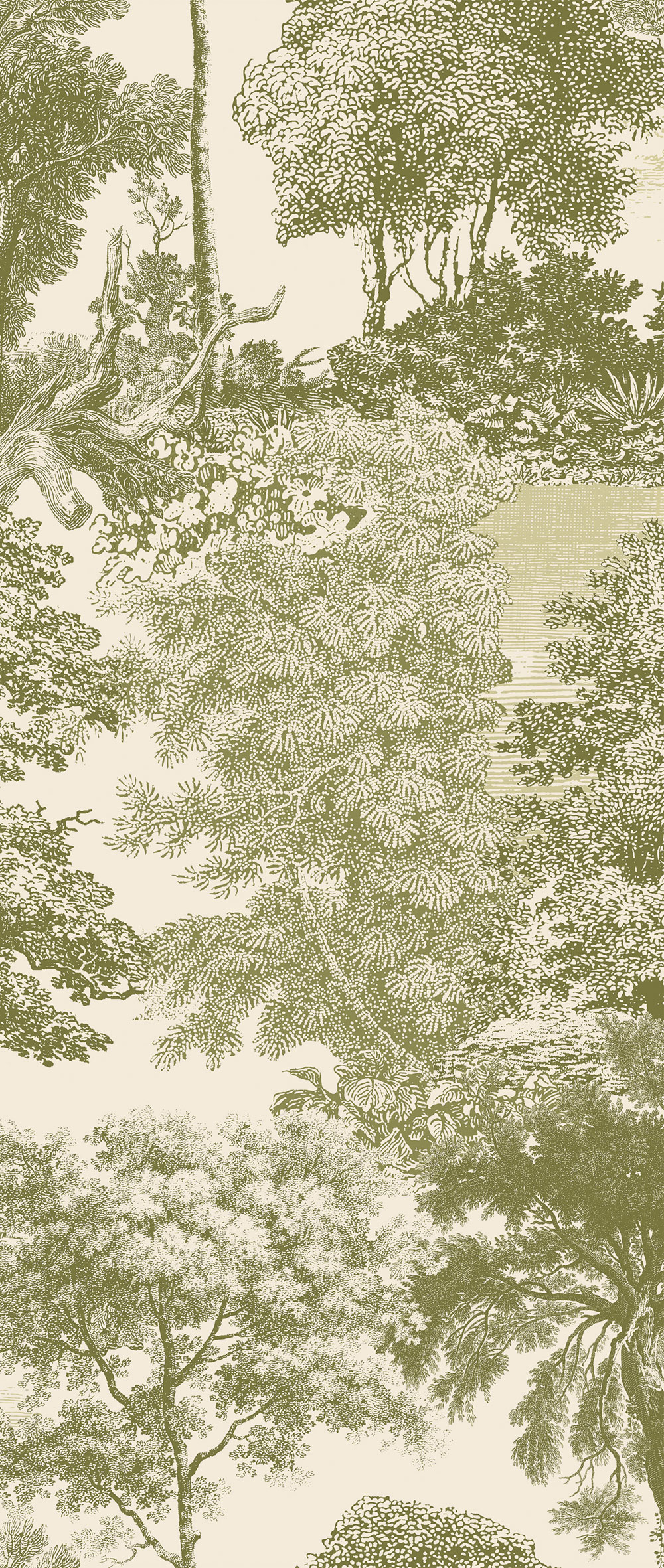 Mural wallpaper, green, forest, trees, DGSAL1034-260, Amazone, Masureel