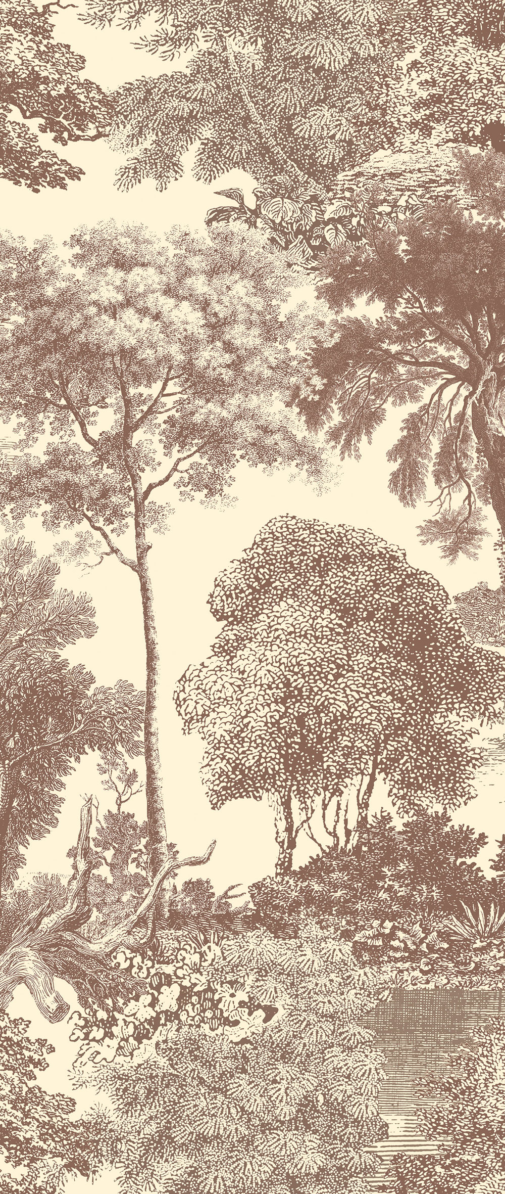 Mural wallpaper, brown, forest, trees, DGSAL1042-260, Amazone, Masureel