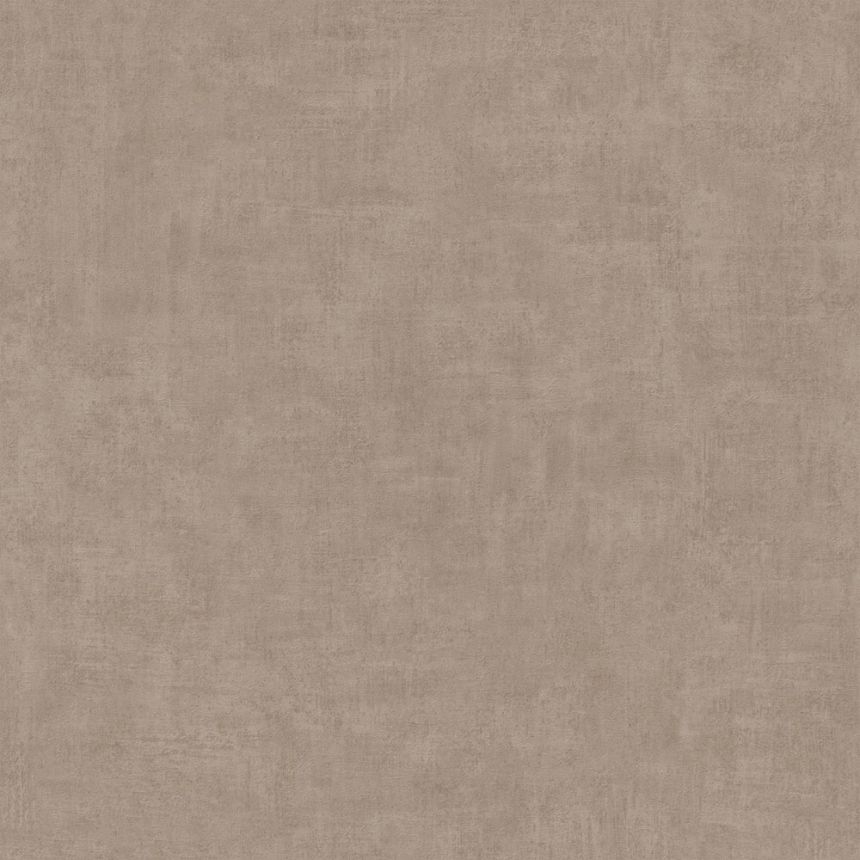 Brown wallpaper, concrete, stucco, A51516, One roll, one motif 2, Mural Young Edition, Grandeco