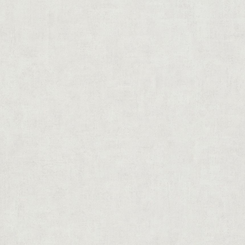 White-grey wallpaper, concrete, stucco, VOA-010-08-2, One roll, one motif 2, Mural Young Edition, Grandeco