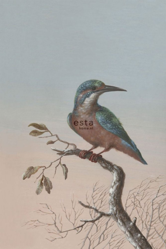 Non-woven wall mural, Kingfisher 158888, 186 x 279 cm, Blush, Esta Home