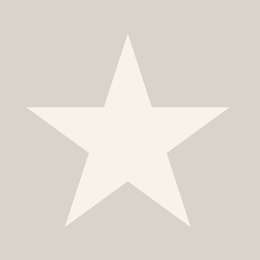 Gray-beige metallic non-woven wallpaper with stars 346826, Precious, Origin