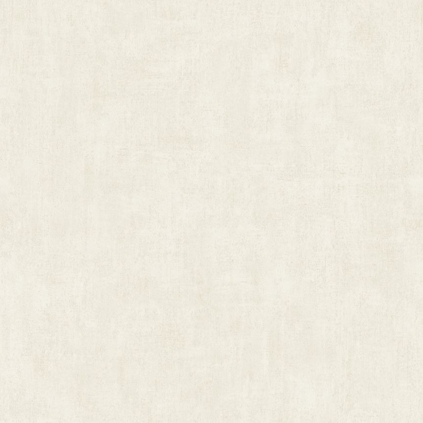 Cream wallpaper, concrete, stucco, A51517, Mural Young Edition, One roll, one motif 2, Grandeco